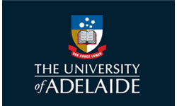 Empowering Potential, Inspiring Growth - We build cultures where people and businesses succeed, without losing who we are along the way.